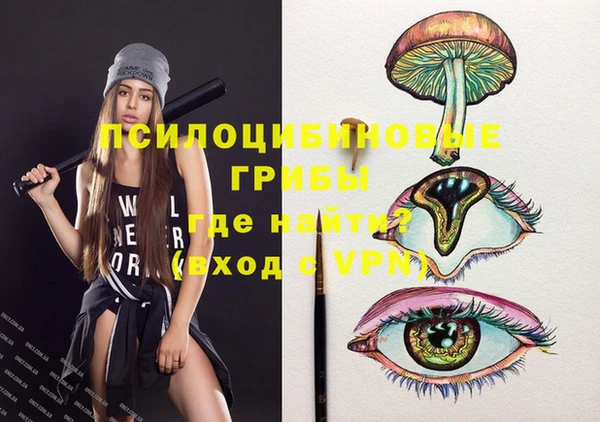 ECSTASY Алексин