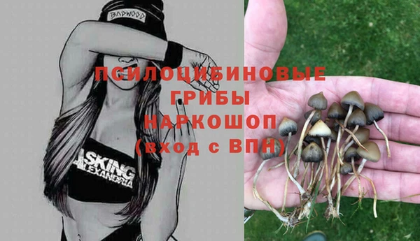 кокс Алексеевка