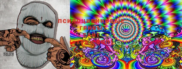 ECSTASY Алексин