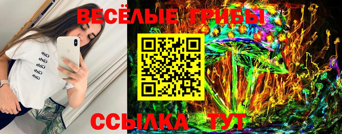 Псилоцибиновые грибы Psilocybe Йошкар-Ола