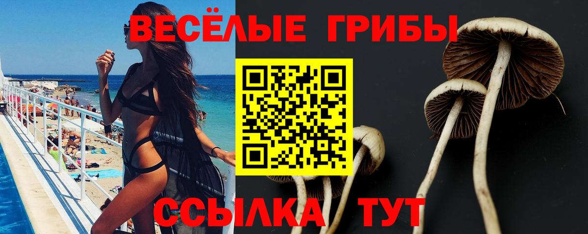 Галлюциногенные грибы прущие грибы  Вход с VPN  Йошкар-Ола  Псилоцибиновые грибы Psilocybe 